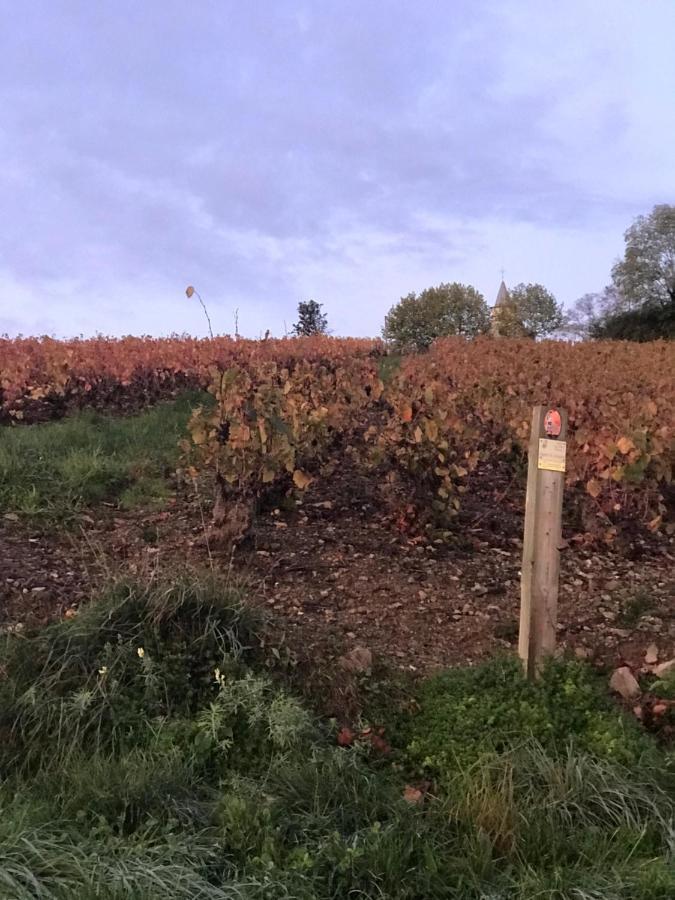 Ravissant Appartement Dans Cadre Verdoyant Marchampt Exterior foto